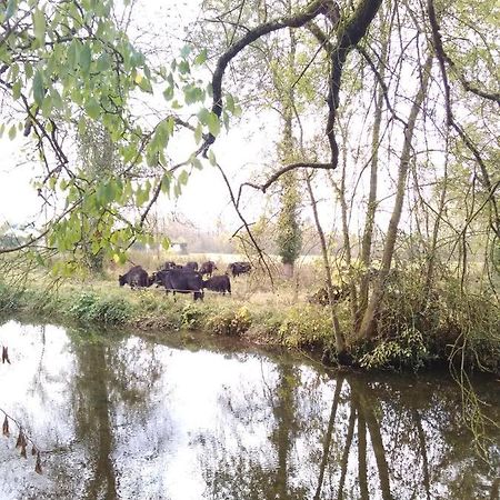 Gite " Jardin Peyrona" Visite Zoo Beauval Et Chateaux De Loire Beaulieu-les-Loches Экстерьер фото