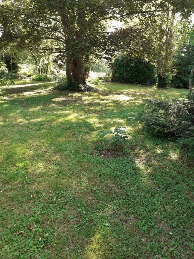 Gite " Jardin Peyrona" Visite Zoo Beauval Et Chateaux De Loire Beaulieu-les-Loches Экстерьер фото