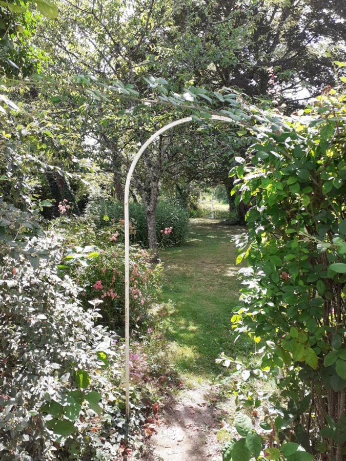Gite " Jardin Peyrona" Visite Zoo Beauval Et Chateaux De Loire Beaulieu-les-Loches Экстерьер фото