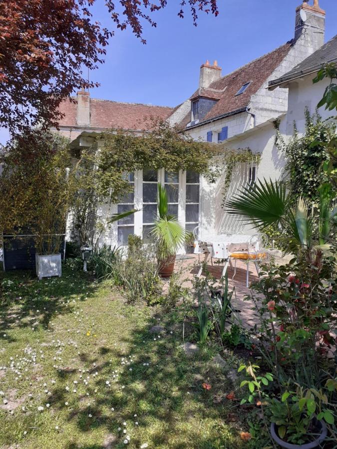 Gite " Jardin Peyrona" Visite Zoo Beauval Et Chateaux De Loire Beaulieu-les-Loches Экстерьер фото