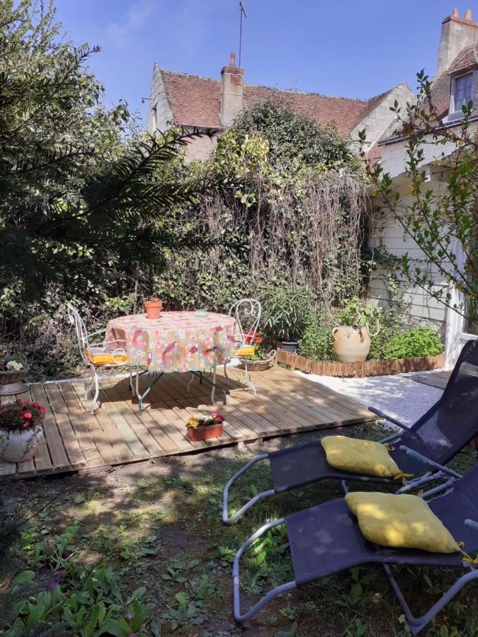 Gite " Jardin Peyrona" Visite Zoo Beauval Et Chateaux De Loire Beaulieu-les-Loches Экстерьер фото